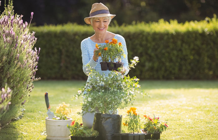 Garden Protected From Pests