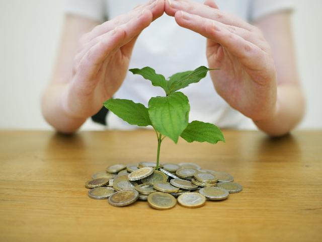 Personal Savings