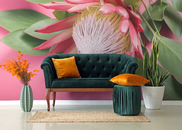 interior ideas